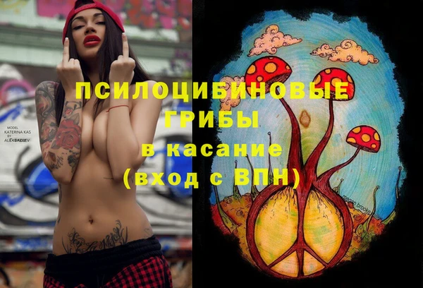 мяу мяу мука Бугульма