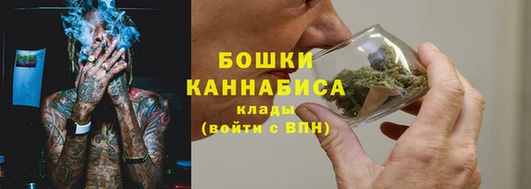 apvp Бородино