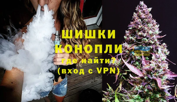 apvp Бородино